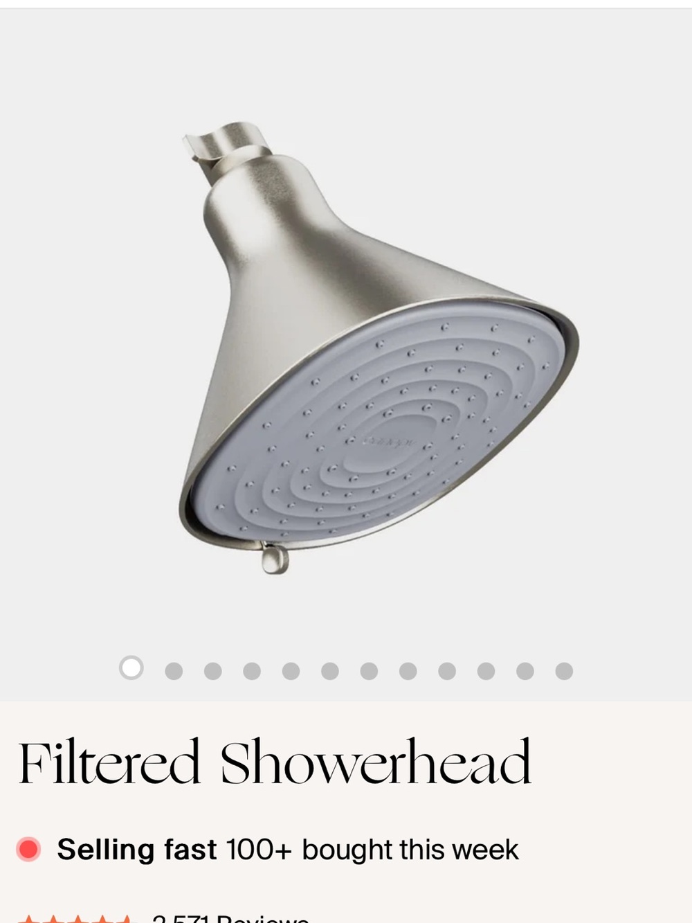 Filtered Showerhead in Brushed Silver and White